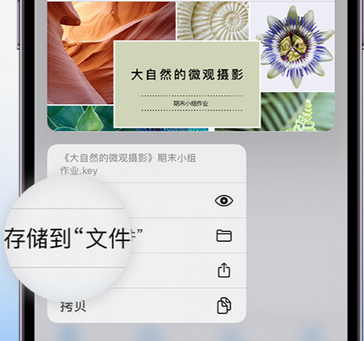 原平apple维修中心分享iPhone文件应用中存储和找到下载文件