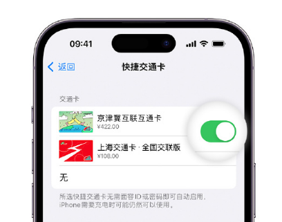 原平apple维修点分享iPhone上更换Apple Pay快捷交通卡手绘卡面 