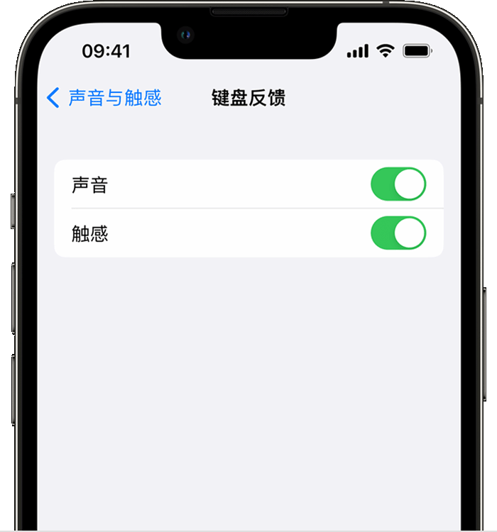原平苹果14维修分享iPhone 14 系列机型如何开启键盘声音或触感反馈 