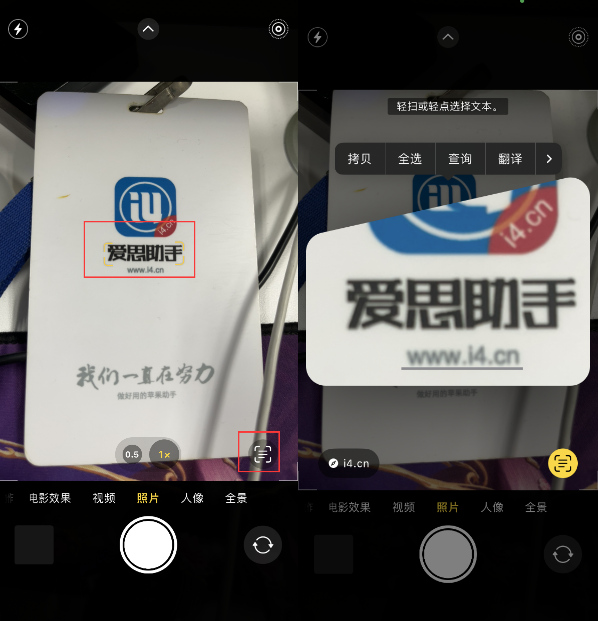 原平苹果手机维修分享升级iOS 16后如何通过相机翻译文本 