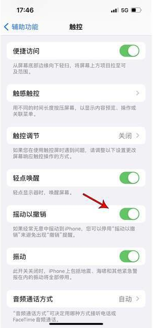 原平苹果手机维修分享iPhone手机如何设置摇一摇删除文字 