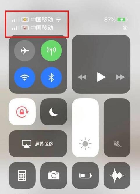 原平苹果手机维修分享为 iPhone 12 双卡设置标签 